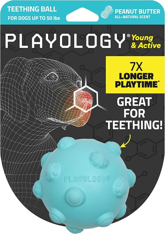 Playology Teething Ball Dog Toy for Puppies - Medium, Peanut Butter Scent