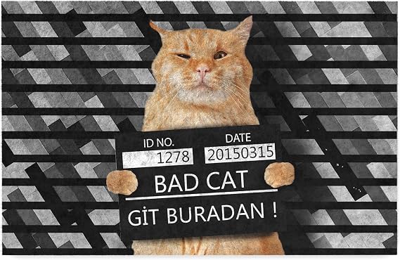 Monnhein Kedi Köpek Komik Tasarımlı Dekoratif Kapı önü Paspas, Dış Mekan/Ev İçi/Banyo/Mutfak/Yatak Odası/Giriş Paspasları (Git Buradan, 45x70)