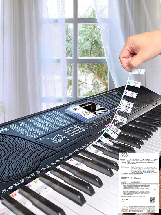 Piano Notes Guide for Beginner, Removable Piano Keyboard Note Labels for Learning, 61-Key Standard Full-Size, Made of Silicone Rubber, No Need Stickers, Reusable and  with Box(Colored)