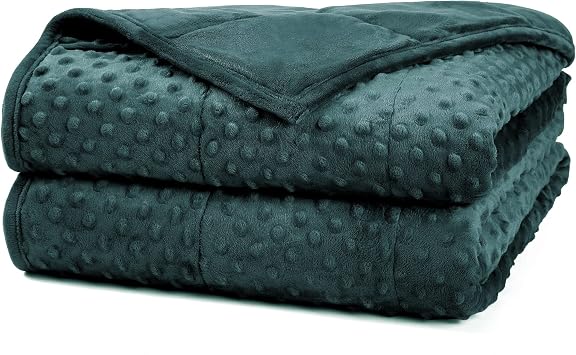 Alomidds Weighted Blanket, Luxury Velvet Weighted Blankets for Kids,Warm and Breathable Soft and Comfort Minky, Cute Heavy Blanket with Premium Glass Beads 41x60 7LBS, Purple