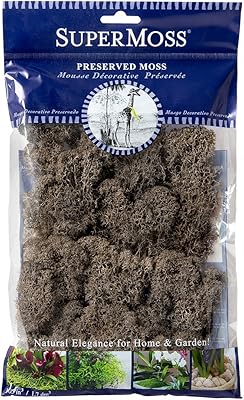 SuperMoss 25165 Reindeer Moss Soft Preserved Moss for Home Decor, Crafts, Terrariums, Floral Design, and Wedding Decorations, 80.75 cu in, Cashmere