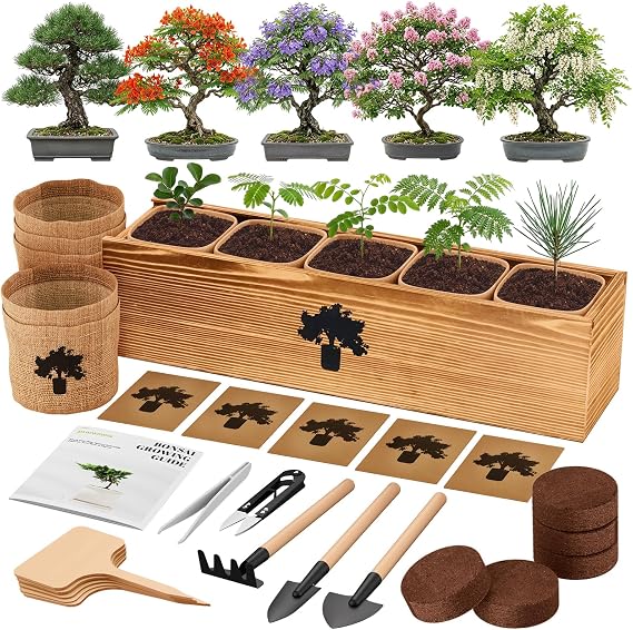 Bonsai Tree Kit - Complete Indoor Bonsai Starter Kit with 5 Unique Tree Seeds, Bonsai Tools - DIY Gardening Gift for Adults Women Men, Mom, Her, Friend (5 Bonsai Trees)