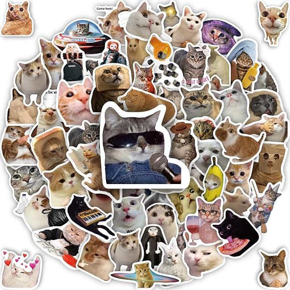 100 Pcs Cat Stickers, Funny Cat Meme Stickers, Cute Kitten Packs
