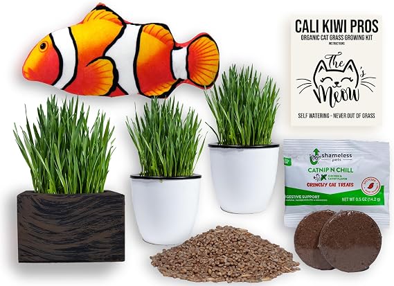 Cat Grass for Indoor Cats Organic Grass Kit with Interactive Flippy Fish Toy (Wicker Brown)