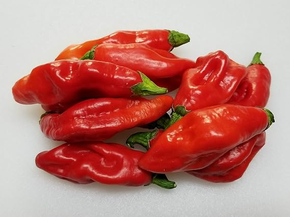 Trinidad Pimento Pepper 10+ Seeds