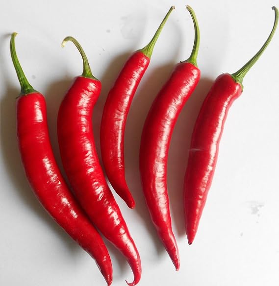Spanish Pepper Red 10 Seeds (Red Pepper)