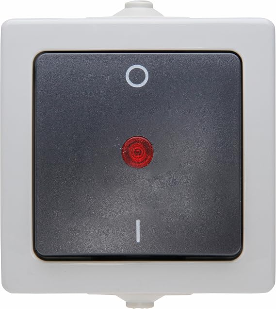 Kopp 565296007 2-Pole Illuminated Surface-Mount Switch