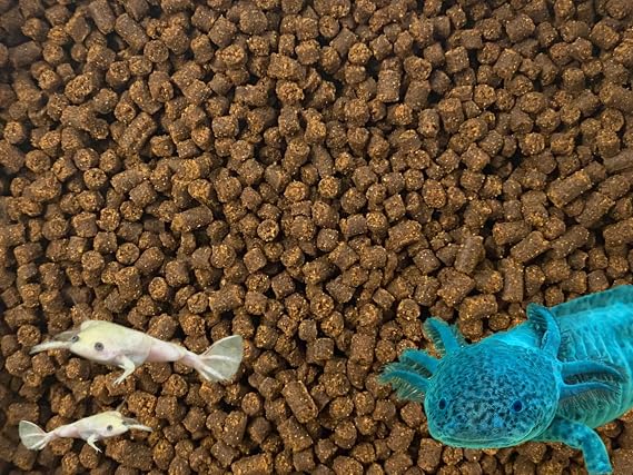 Juvenile Axolotl Soft Food PELLETS 2.4mm,Salamander,Frog,Newts,A282 (1oz - Sample)