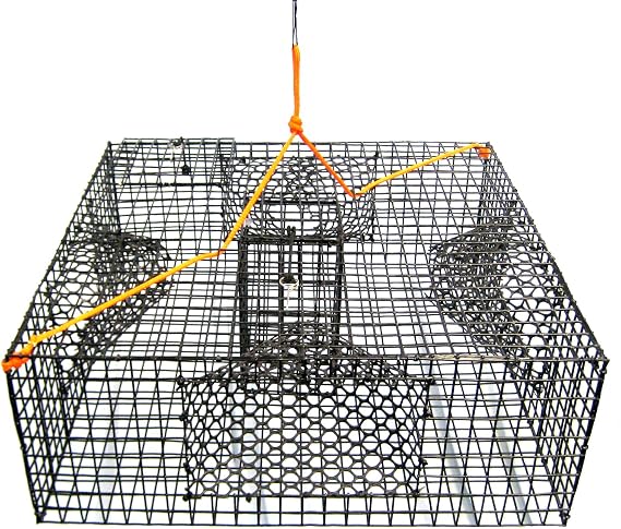 Promar Heavy Duty Shrimp Pot with 1-Inch Mesh and 4 Tunnels, 24x24x9-Inch