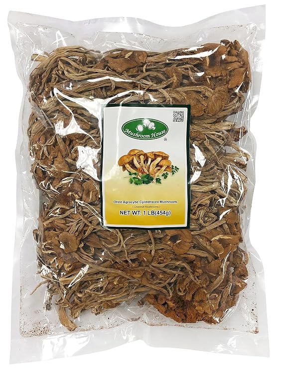 Mushroom House Dried Mushrooms, Chestnut (Agrocybe cylindracea), 1 Pound